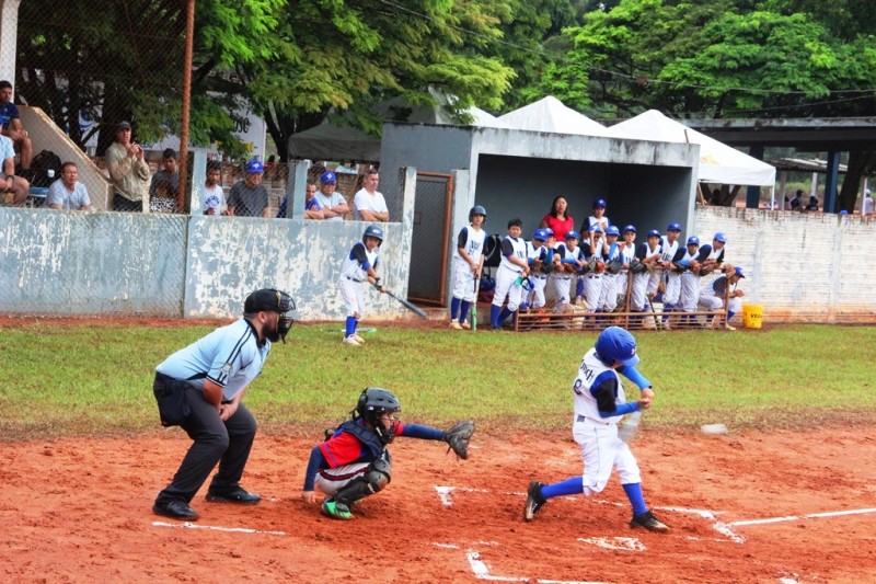 Federação Paulista de Beisebol e Softbol